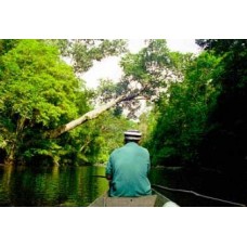 Transfer from Kuala Besut Jetty to National Park